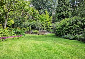 Optimiser l'expérience du jardin à Sainte-Colombe-près-Vernon